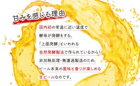 Niigata BEER　24本セット