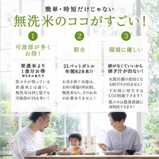 無洗米新潟産コシヒカリ6ヵ月定期 5kg