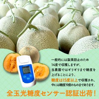 太田農園メロン“GIFT”赤肉メロン＆青肉メロンセット（各1玉ずつ） 2025年 先行予約 メロン セット 赤肉 赤肉メロン 青肉 青肉メロン 高級 果物 フルーツ デザート 新潟 夏フルーツ