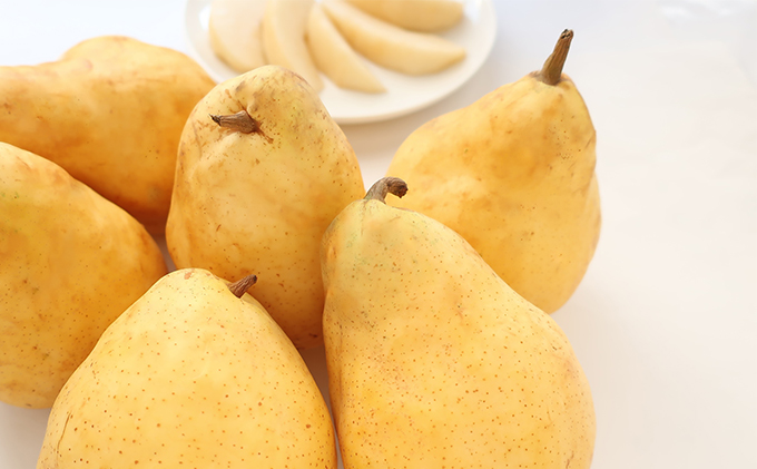 【訳あり 数量限定】ルレクチェ 家庭用 4kg 果物類 フルーツ 果物 果物詰合せ