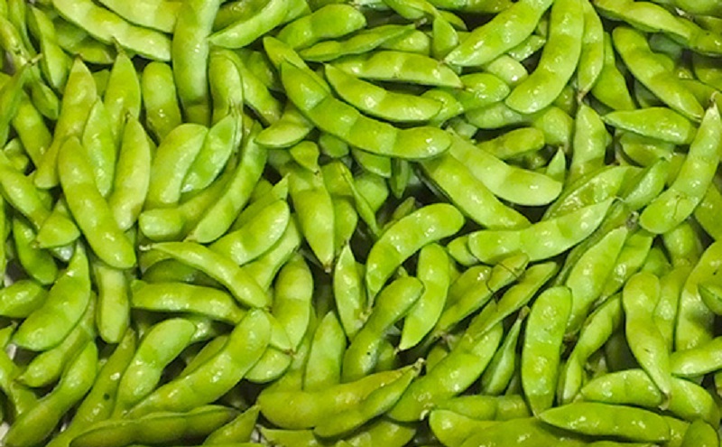 先行予約 朝どり 生枝豆 くろさきの枝豆 2kg 2025年10月発送 新潟県黒埼産 生 枝豆 えだまめ えだ豆 新潟