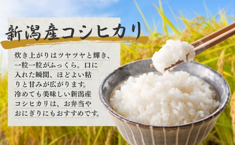 R7年産米【定期便】新潟産コシヒカリ5kg×6回