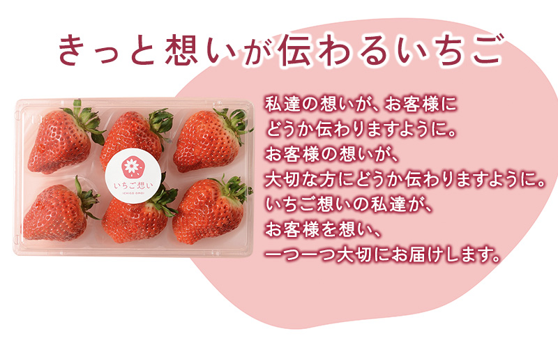 きっと想いが伝わるいちご　越後姫 1パック 果物 フルーツ 食後 デザート 旬の果物 旬のフルーツ ストロベリー 国産 日本産