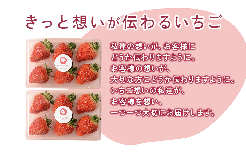 想いが伝わるいちご　越後姫 2パック 果物 フルーツ 食後 デザート 旬の果物 旬のフルーツ ストロベリー 国産 日本産