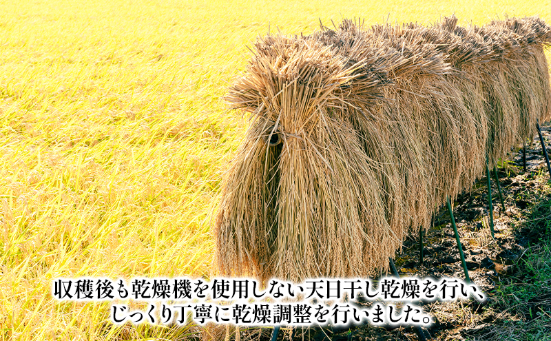 新潟産こがねもち 切り餅（450g×4）