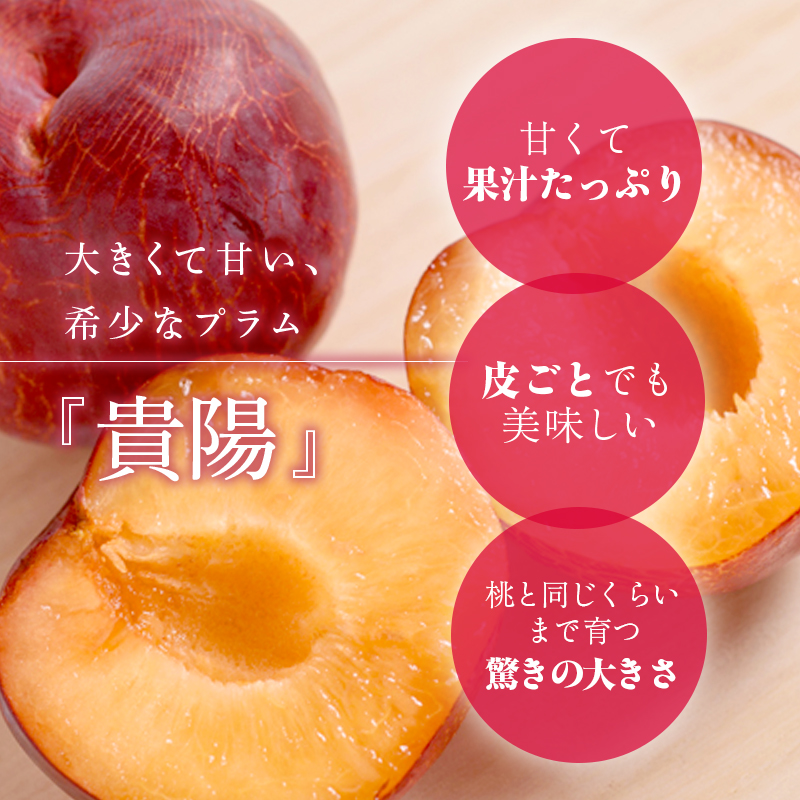 プラム（貴陽）