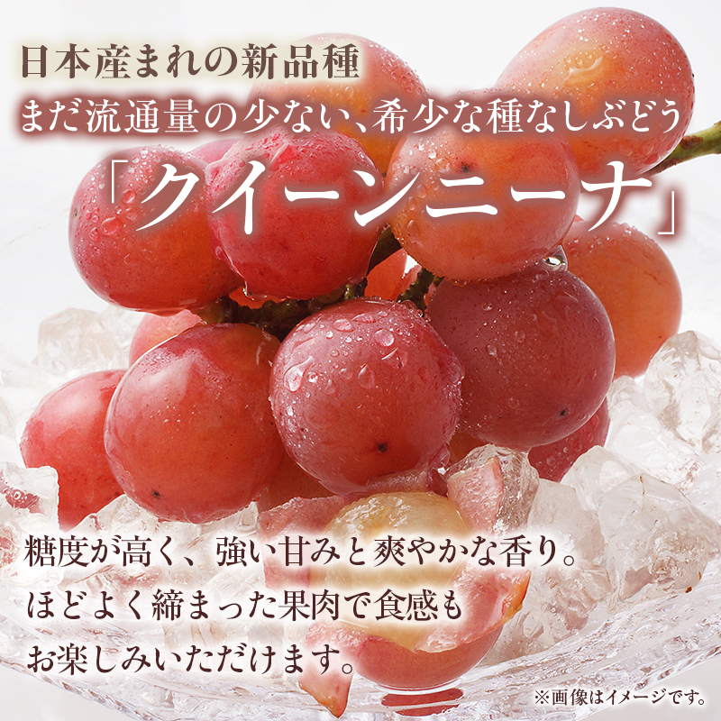 2種詰め合わせ（シャインマスカット、クインニーナ）