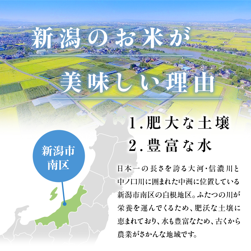 こしひかり 精米 5kg 新潟産 コシヒカリ 米 お米 こめ コメ 白米 産地直送 新潟県産 新潟県 新潟
