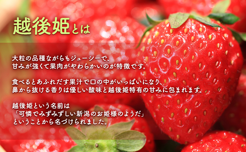 【予約受注】2026年2月下旬より発送新潟県産越後姫3L　12粒入り