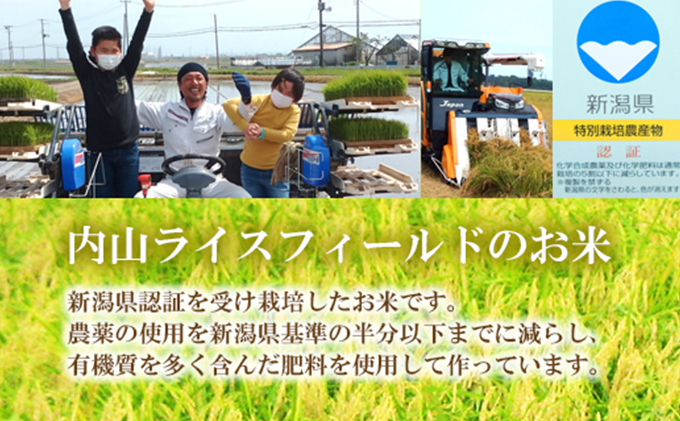 令和7年度産 新潟県認証特別栽培米 ひとめぼれ 5kg お米 白