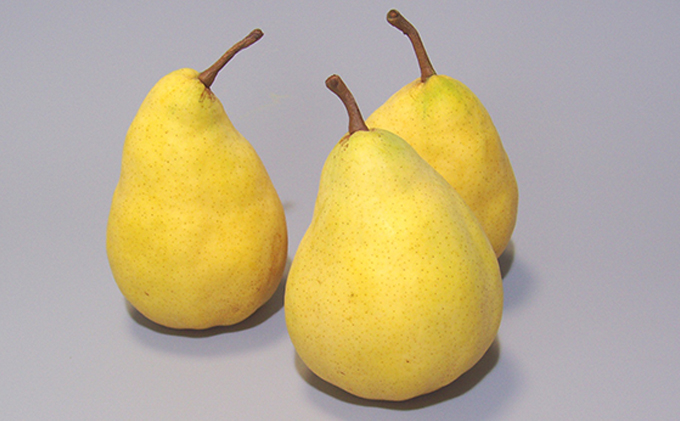 ル レクチェジュース180ml（2本セット）