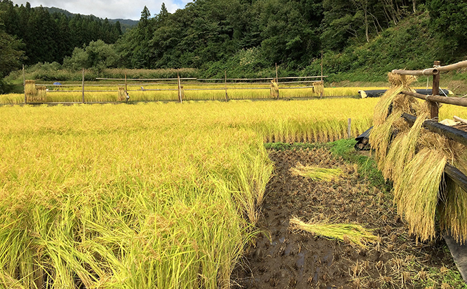 新潟コシヒカリ純米大吟醸【maboroshinosake】720ml