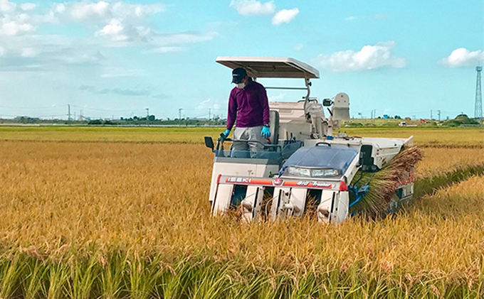 カガヤキ農園　特別栽培米コシヒカリ10kg
