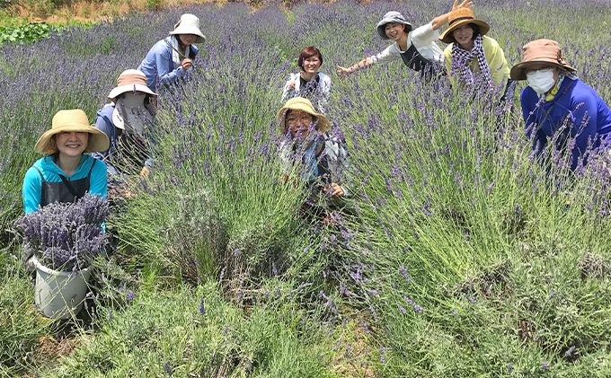 【新潟ラベンダー自然香水】「BREEZE in LAVENDER FARM　イリスの雫15ml」～植物の恵みをまとう～
