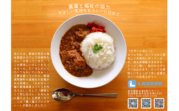 レトルトカレー2個と米袋リユース雑貨2種（ポーチ、名刺入れ）