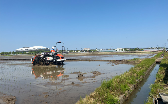 【アルビ米】パックごはん180g×24