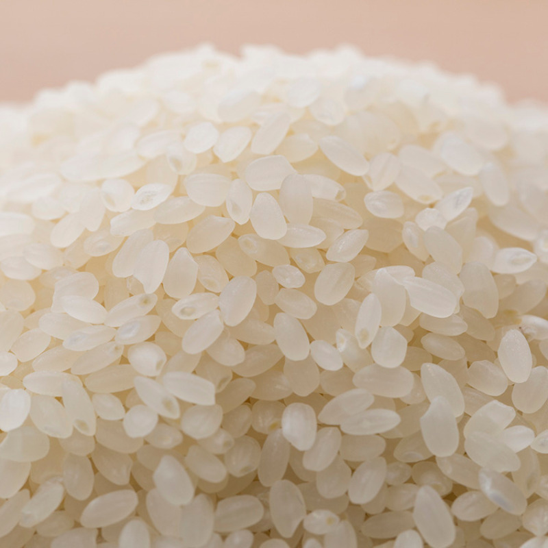 新潟市産コシヒカリ 白米 5kg お米 精米 ご飯 代表 自然 飽きない 自信 美味しい