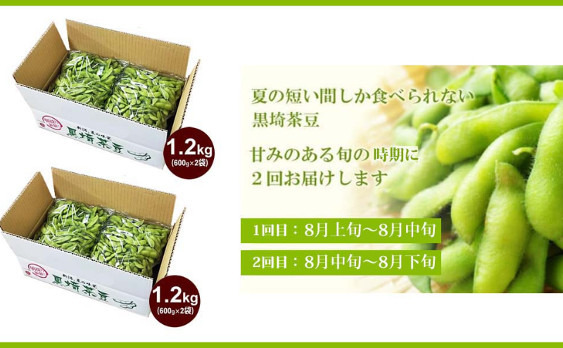 2025年8月 2回お届け】くろさき茶豆1.2kg 2025年 先行予約 定期便 枝豆 野菜 つまみ おつまみ えだまめ エダマメ 新潟 定期  お楽しみ 2回: 新潟市ANAのふるさと納税