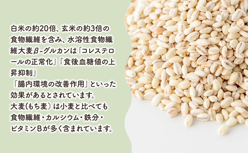 秋葉の里　白雪もち麦