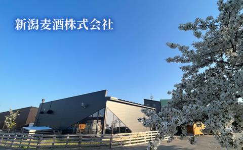 越ノ忍ピュアモルトウイスキー 700ml/43％