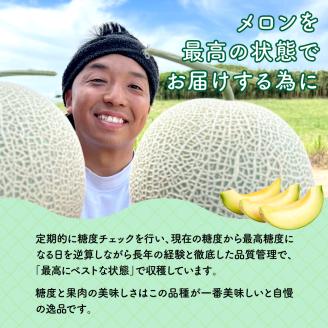 太田農園メロン“GIFT”赤肉メロン＆青肉メロンセット（各2玉ずつ） 2025年 先行予約 メロン セット 糖度 赤肉 青肉 高級 果物 フルーツ おやつ デザート 新潟 夏フルーツ