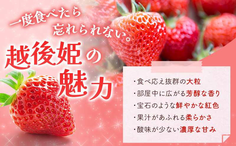 「越後姫」イチゴ 15粒 2パック