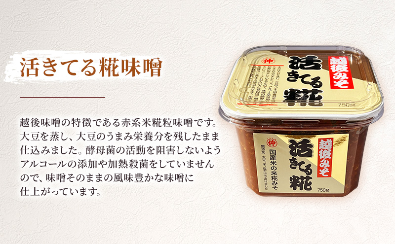 越後味噌食べ比べセット みそ 越後味噌 味噌 3種 食べ比べ セット 越後のこころ 越後雪ひかり 活きてる糀 新潟