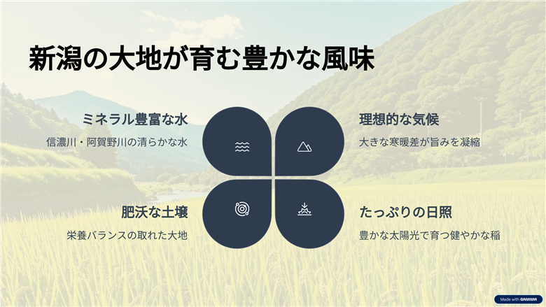 新潟産コシヒカリ 5kg お米