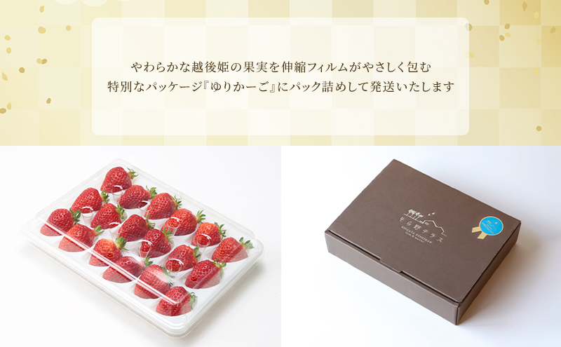 SOLANO SPECIALITE『越後姫』9～15粒