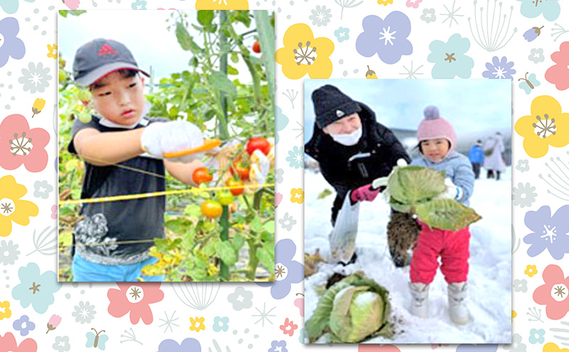 農業体験付き宿泊プラン（大人2名様・小人1名様）