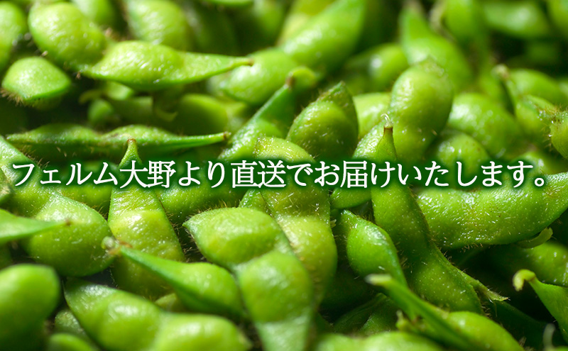 朝採り・新鮮・直送　新潟黒埼産　朝採り枝豆（早生）　1.5ｋｇ《6月下旬～7月下旬頃順次発送》 野菜