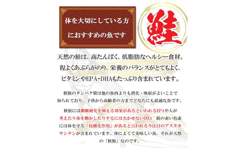 一塩鮭 （薄塩）　鮭 さけ サケ 天然 秋鮭 ミネラル塩 冷凍 真空パック 小分け 低脂肪　高たんぱく EPA DHA