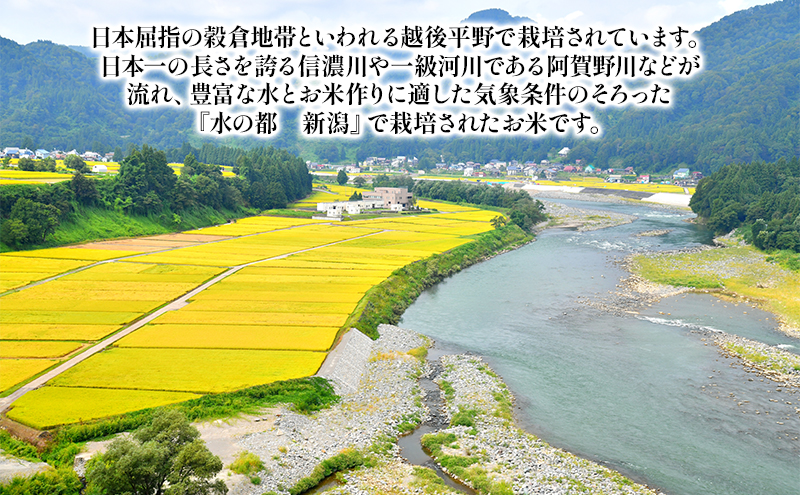 新潟産コシヒカリ 5kg 全6回 お米