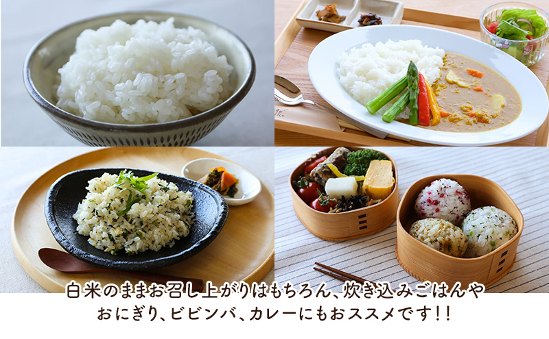 特別栽培米コシヒカリ 寿々喜米 5kg（精米）