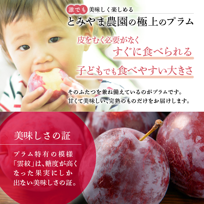 プラム（貴陽）