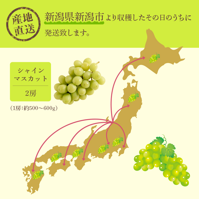 シャインマスカット