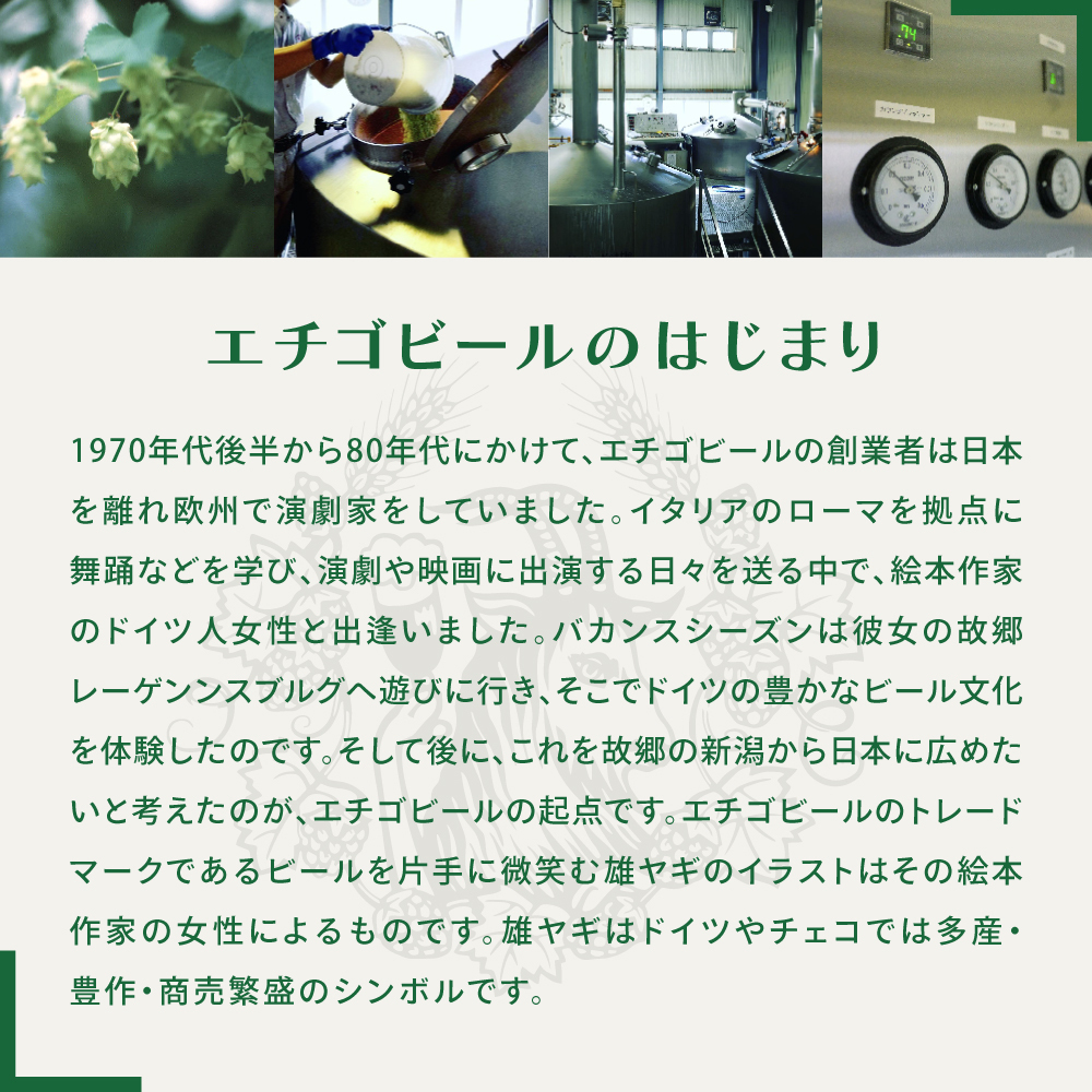 エチゴビール スタウト350ml缶×12本