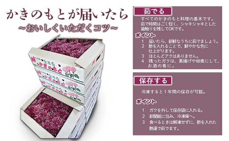 かきのもと（食用菊）1kg 野菜 苦みが少ない 旨味 香りが強い シャキシャキ食感 鮮やか 紫色 食用花 彩 食卓 華やか