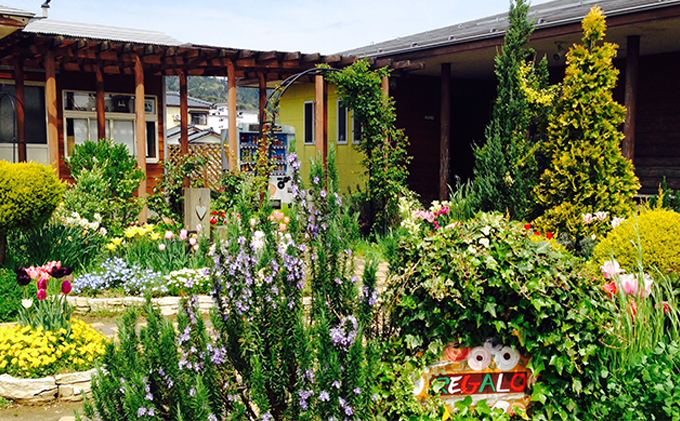 ジェラテリア・レガーロ ジェラート8個セット