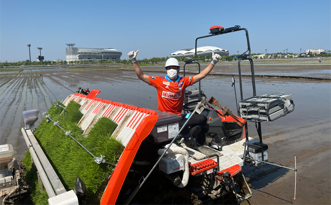 【アルビ米】新潟産コシヒカリ精米2kg×2袋