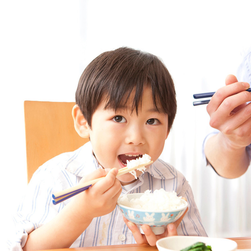 新潟市産コシヒカリ 白米 5kg お米 精米 ご飯 代表 自然 飽きない 自信 美味しい