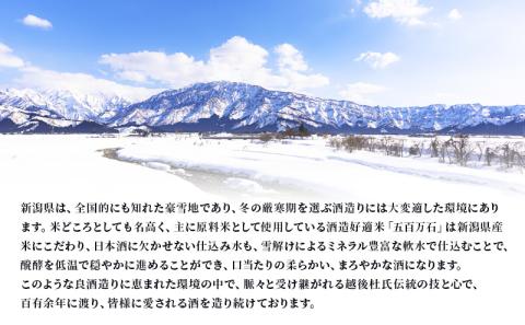 高野酒造 水の都 柳都 純米大吟醸 720ml