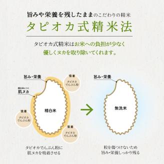 無洗米新潟産コシヒカリ6ヵ月定期 5kg