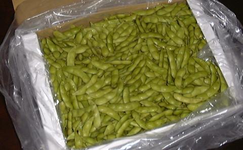 【先行予約】枝豆 くろさき 茶豆 1.5kg (8月中旬発送開始) えだまめ 朝採り 新鮮 豆 野菜 冷蔵 産地直送 新潟茶豆 ビール 晩酌 おつまみ 新潟
