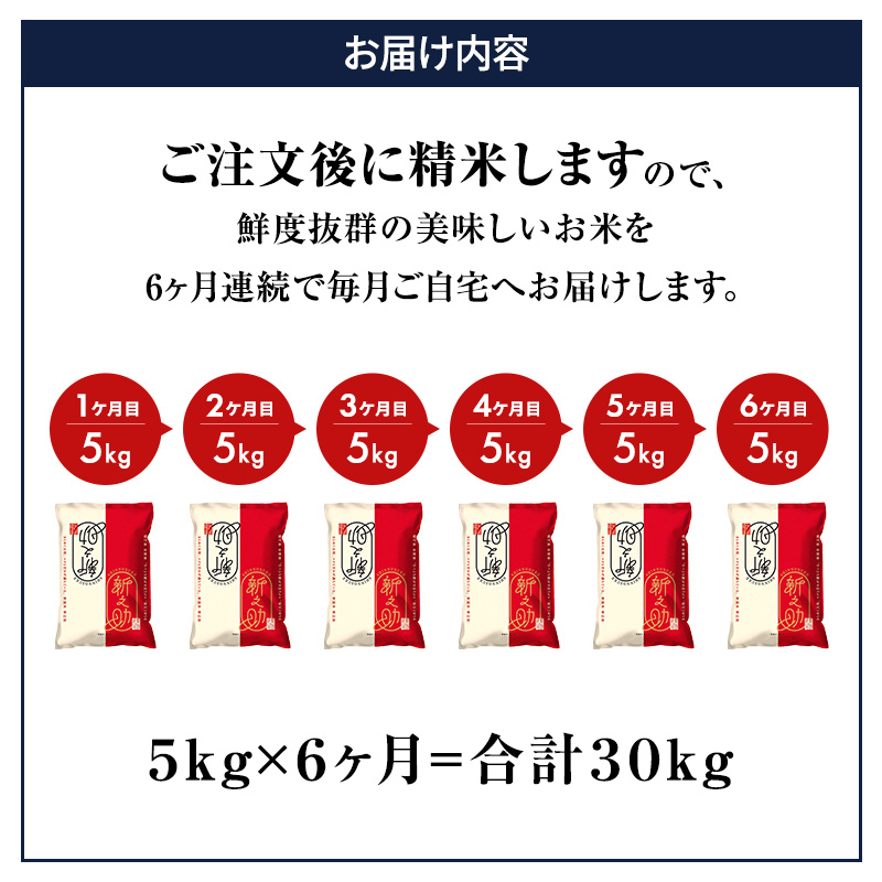 米 6ヶ月定期便 新潟 新之助 5kg 白米 精米 １等米 精米仕立てを発送致します 新潟県産 定期便 お米 5kg こめ コメ ブランド米 6ヶ月 半年 6回 お楽しみ