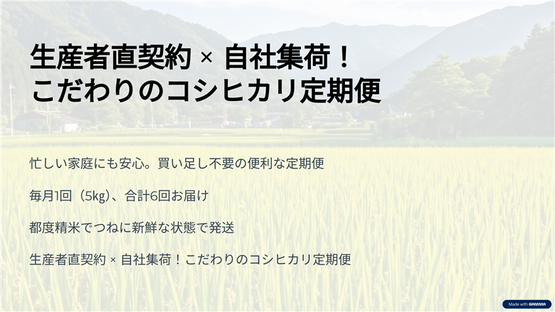 新潟産コシヒカリ 5kg 全6回 お米
