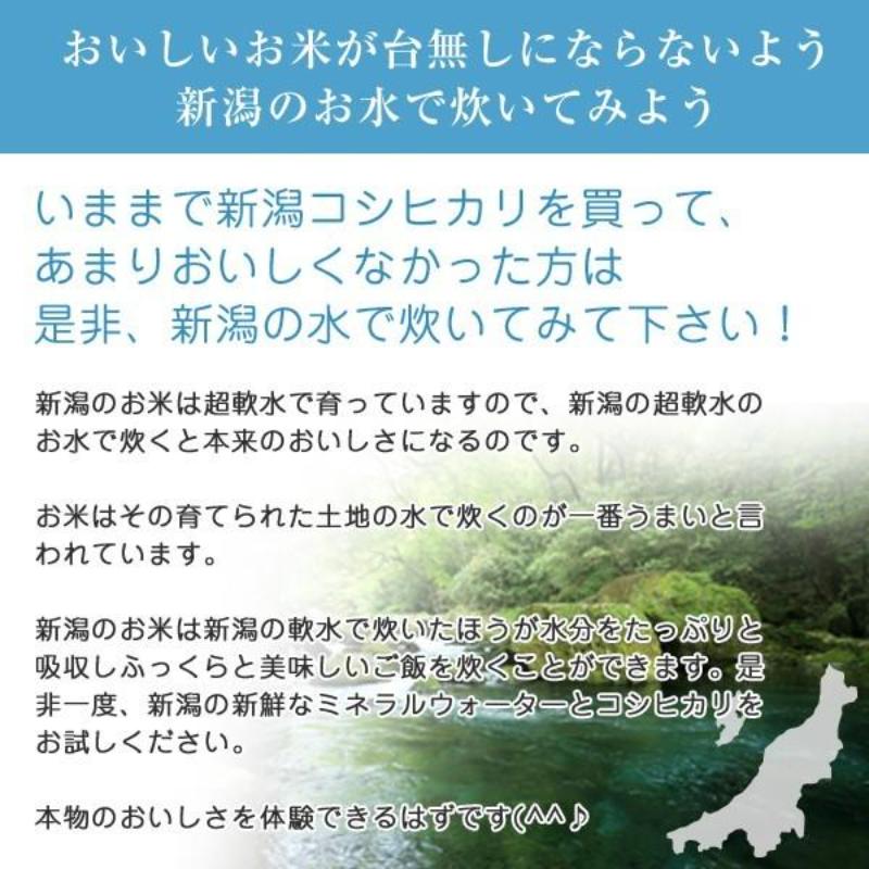 令和7年産 新潟コシヒカリ20kg(5kg×4) こしひかり 精米