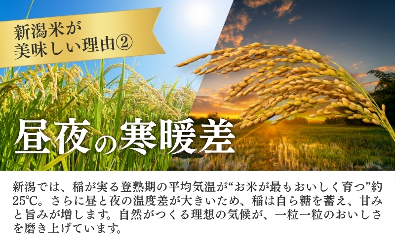 R7年産米【定期便】新潟産コシヒカリ5kg×6回