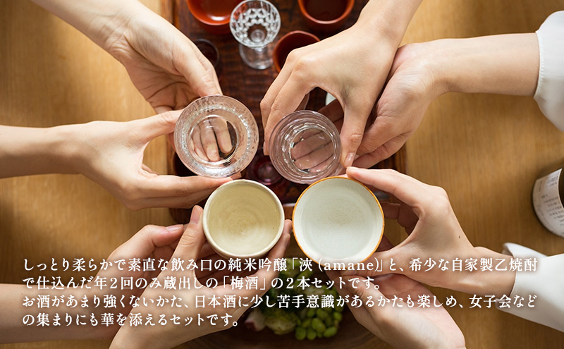 越乃寒梅　浹　純米吟醸 720ml・梅酒 720ml　2本セット