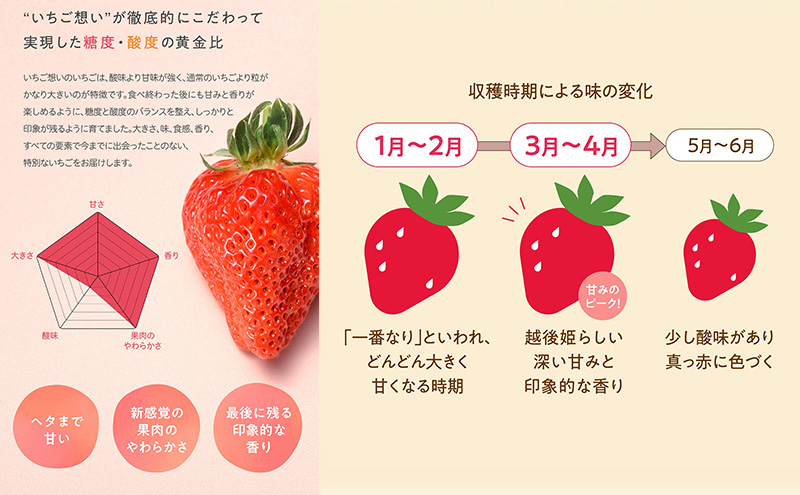 きっと想いが伝わるいちご　越後姫 1パック 果物 フルーツ 食後 デザート 旬の果物 旬のフルーツ ストロベリー 国産 日本産